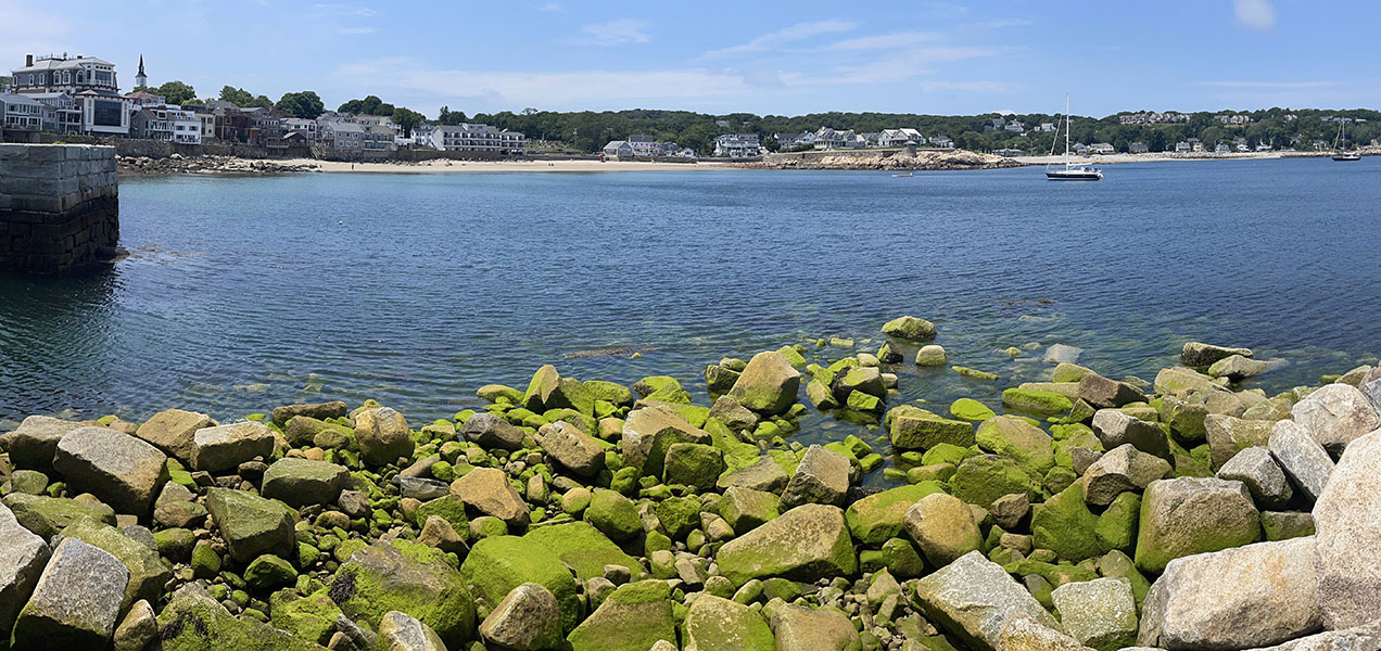 Panoramic Phote of Harbor with Granite Blocks With Bright Green Seaplants on Them.